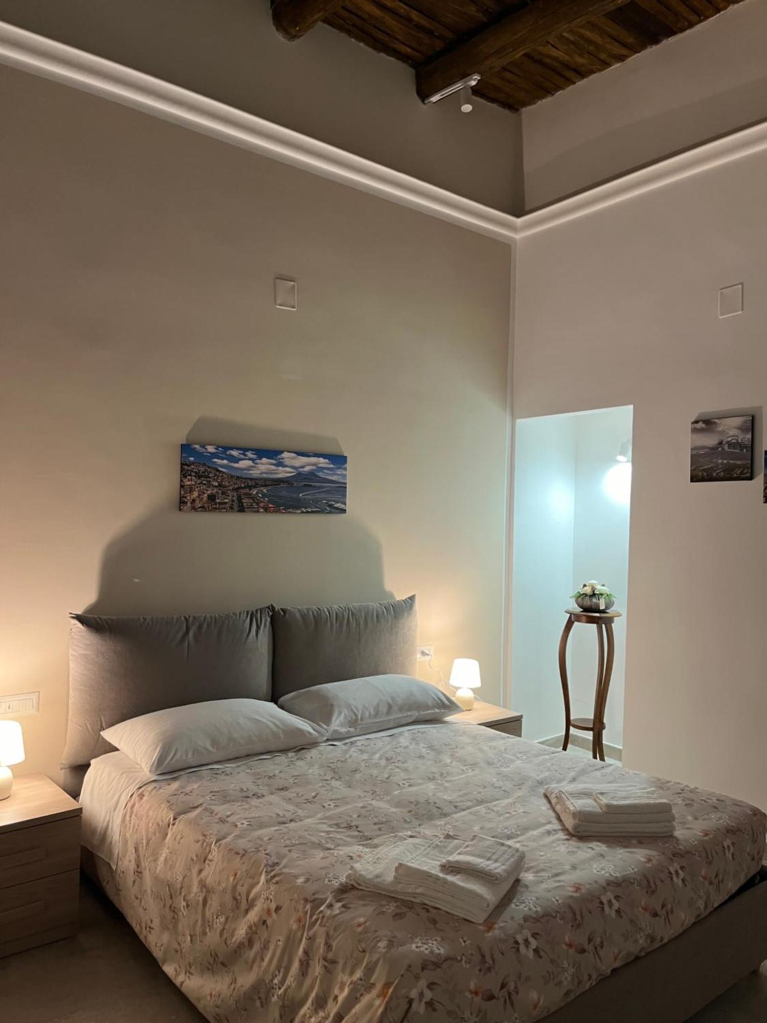 Affittacamere Neapolis Francy Vesuvio